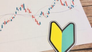 【FX初心者向け】勉強方法をケース別に徹底解説！成功するためのコツも紹介 