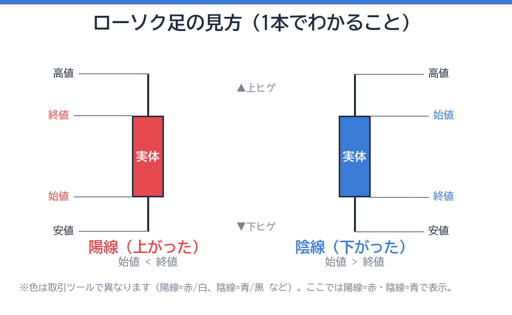 ローソク足の見方（陽線・陰線／実体とヒゲ）